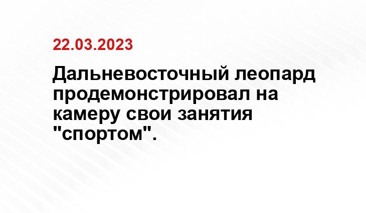 Дальневосточный леопард продемонстрировал на камеру свои занятия "спортом".