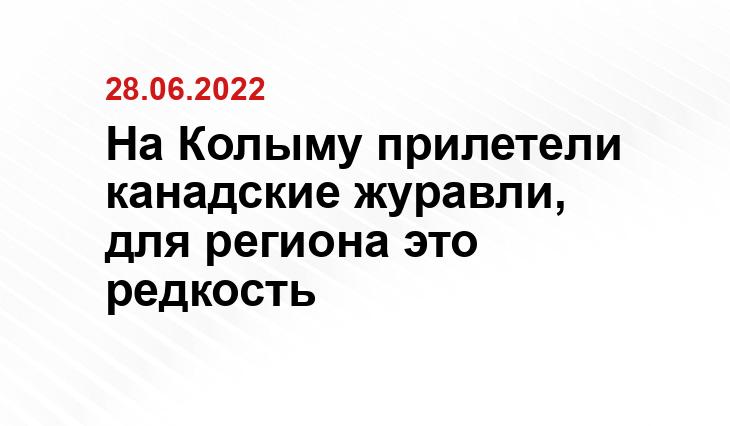 ut-ext.adsl.kirov.ru