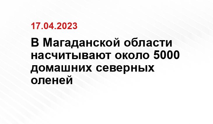 magadan-news.net