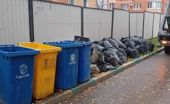 Правила обращения с растительными отходами