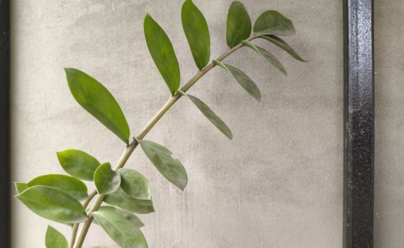 Бабушкины советы не про магию, а про уют: 15 привычек, которые делают дом спокойнее