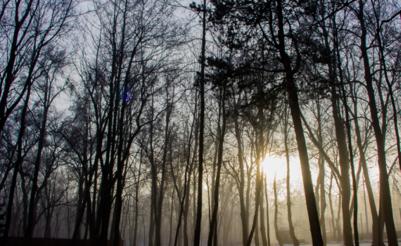 Лунный календарь 6 декабря 2025: что можно и нельзя в день лёгкого общения и опасный для обещаний