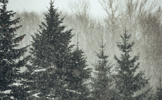 6 декабря 2025 отмечаем праздники в честь Александра Невского, Санта-Клауса, именинники и не только